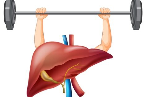 healthy liver