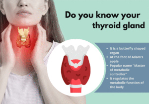 Interactive Guide to Liver Health 8 thyroid