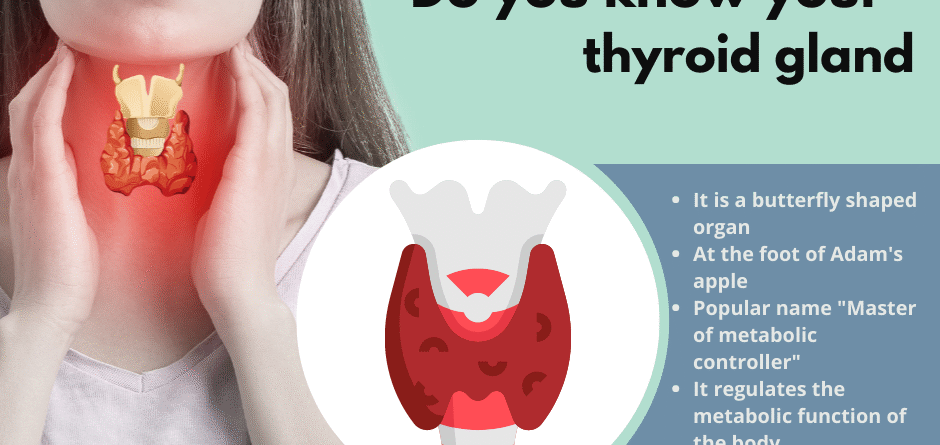 thyroid